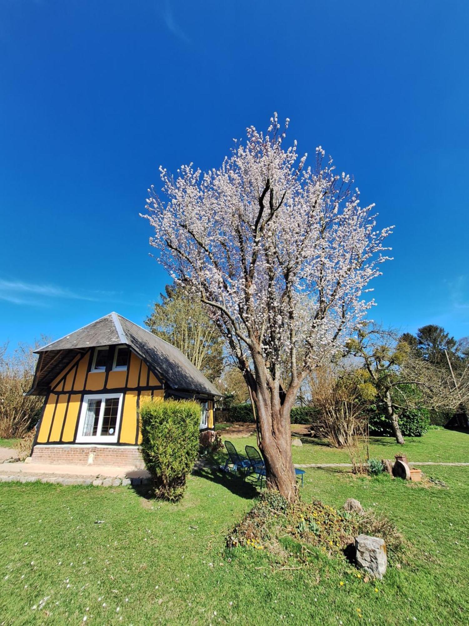 La Petite Maison Bosroumois Εξωτερικό φωτογραφία